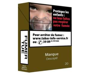 M. Touraine présente l'ordonnance transcrivant la directive européenne sur le tabac