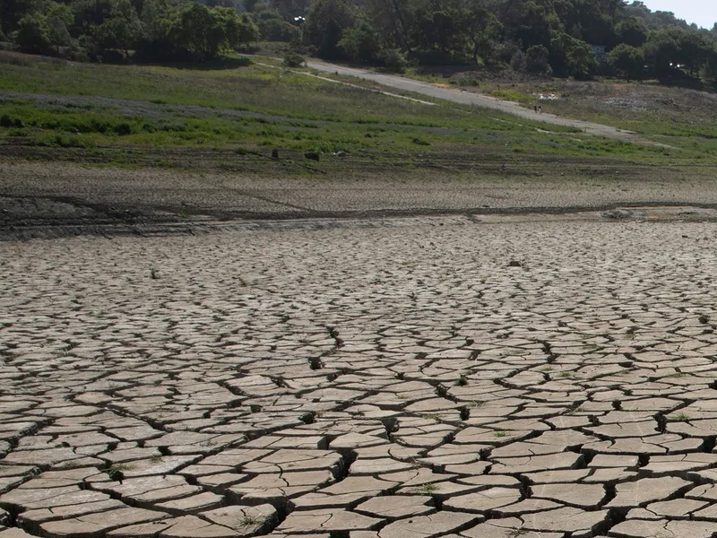 Sécheresse et incendies : la MSA mobilise son réseau dans le cadre du plan CASI